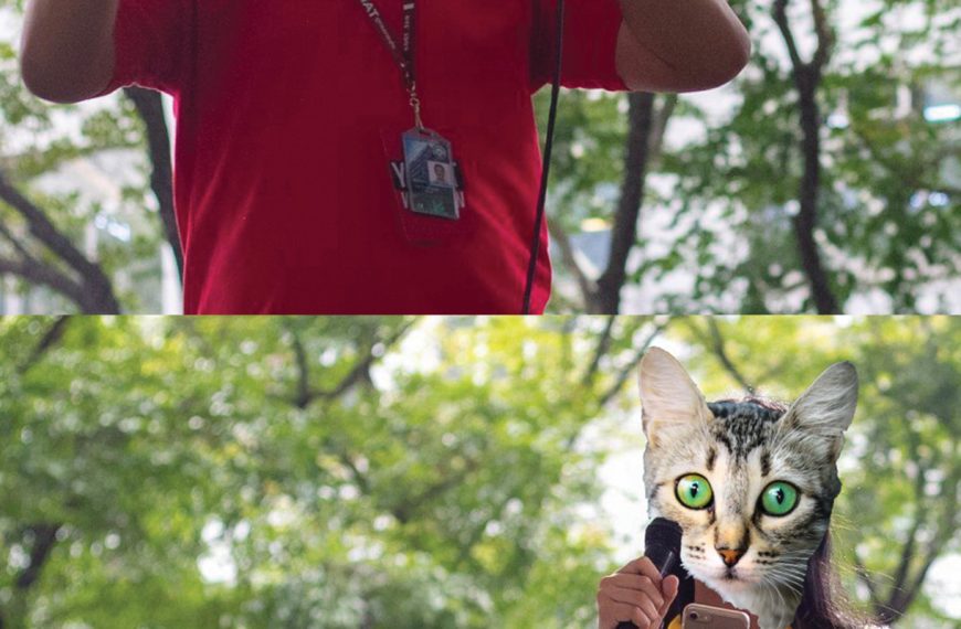 [SPOOF] “You’ve got to be kitten me!”: Mga pusa ng DLSU, magkakaroon ng representasyon sa USG