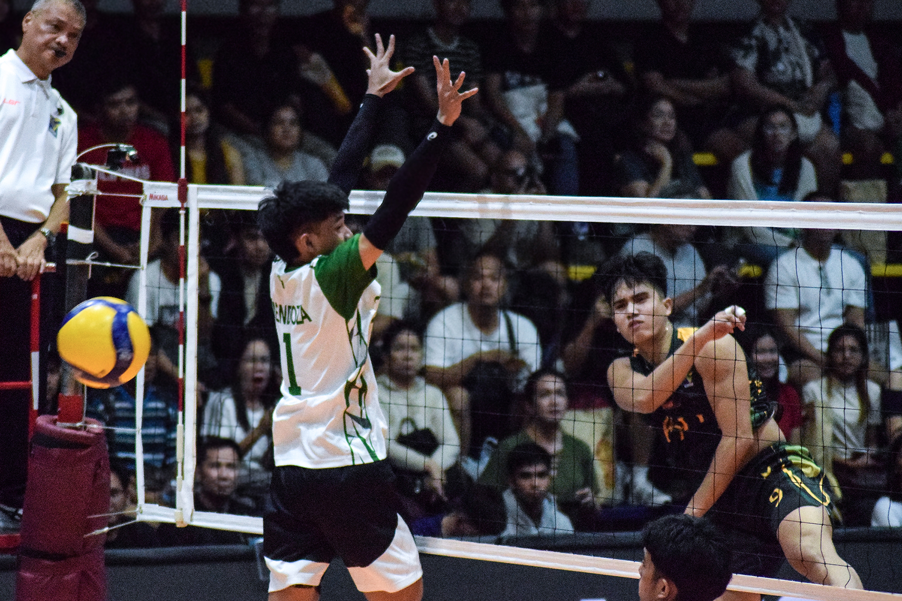 Green Spikers, inararo ng puwersa ng Tamaraws